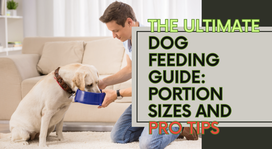 View of Dog Feeding Guide: Optimal Portions & Tips